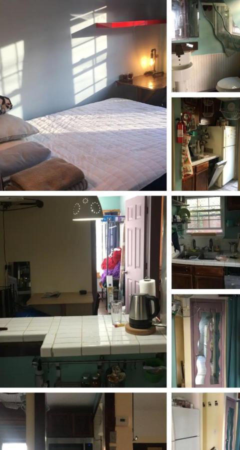 Rock Pad For Yale, Visitors, Nurses, Staff Apartment New Haven Bagian luar foto
